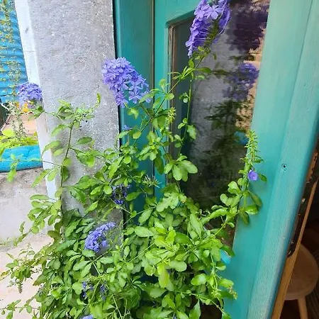 Amorino - Old Town House Semesterbostad
