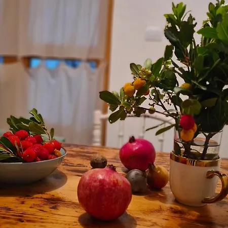 Feriehus Amorino - Old Town House