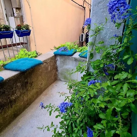 Amorino - Old Town House Cres