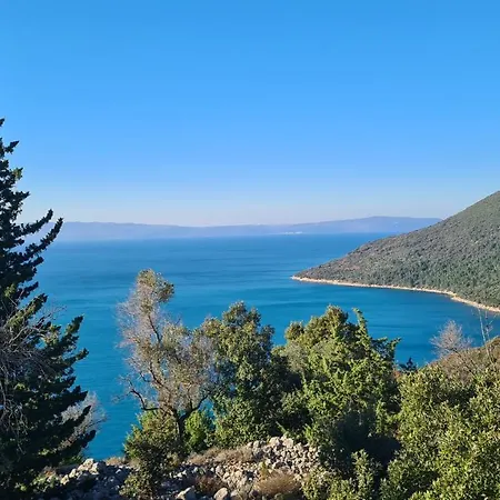 Amorino - Old Town House