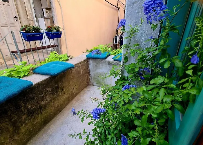 Amorino - Old Town House Cres