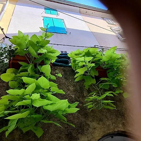 Amorino - Old Town House *